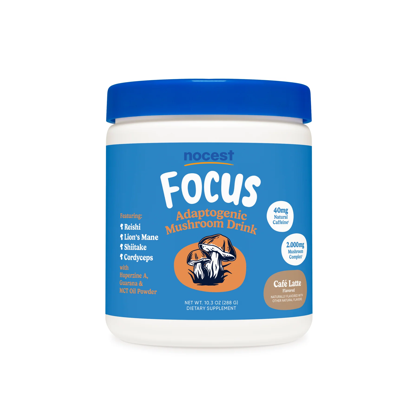 Nocest Focus
