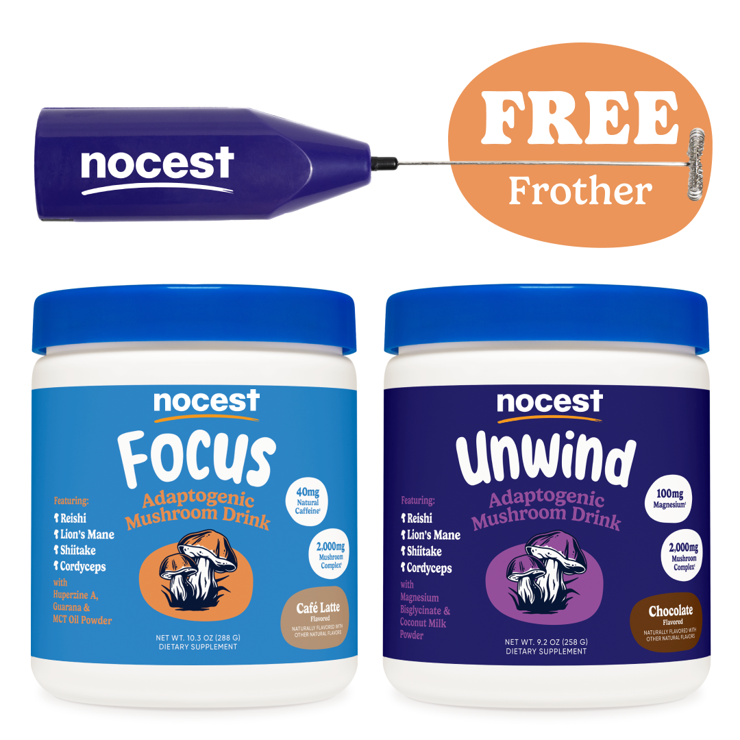 Nocest Bundle