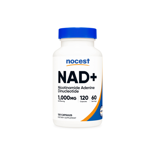 Nocest NAD+